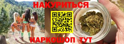 spice Моздок