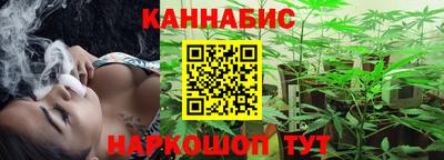 spice Моздок
