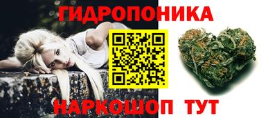 spice Моздок