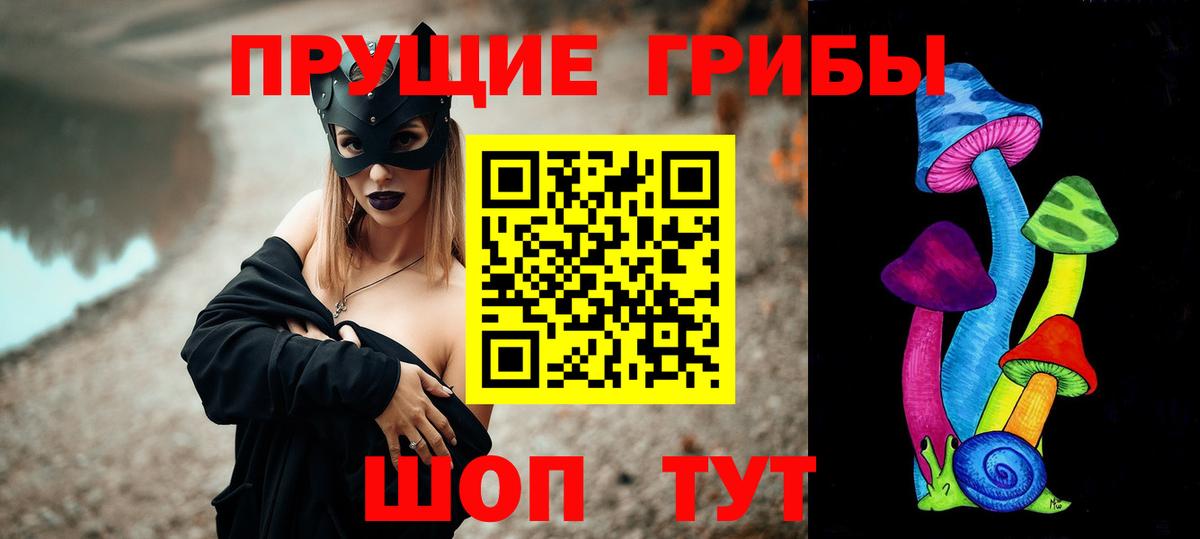 Галлюциногенные грибы Cubensis Богородск