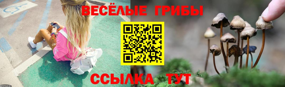 Богородск  наркошоп  Вход с VPN  Галлюциногенные грибы Cubensis  Галлюциногенные грибы Magic Shrooms 